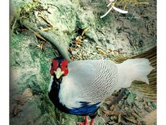 -广州市白云山风景名胜区