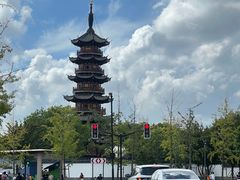 -龙华素斋(龙华路店)