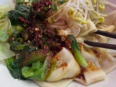 -大嘻咹biangbiang面(历史博物馆店)