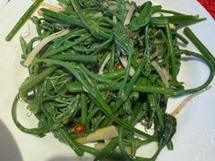 佛手瓜苗-粤北餐馆