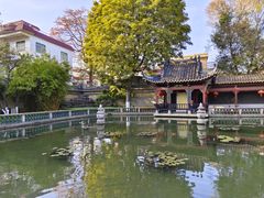 -碧江金楼