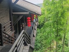 -大唐贡茶院