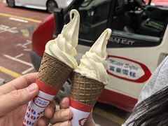 -富豪雪糕车流动点(尖沙咀店)