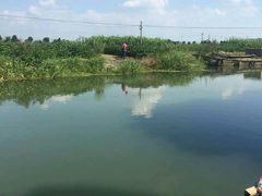 -乡乐园蟹庄·阳澄湖农家乐