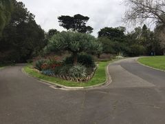 -墨尔本皇家植物园