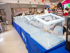 -凯德广场(学府店)