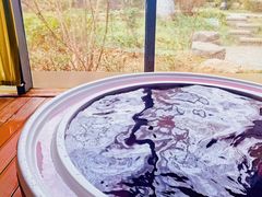 -春晖园度假酒店温泉