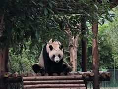 -多彩贵州城极地海洋世界