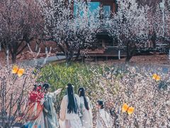-杏花村文化旅游区