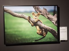 -中海环宇荟