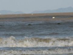 -松兰山海景大酒店·海鲜中餐厅