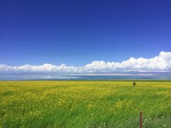 -青海湖国家重点风景名胜区