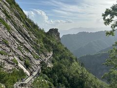 -朱雀国家森林公园