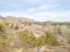 -红山国家森林公园