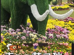 -南山植物园
