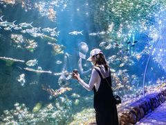 -华夏文旅海洋公园