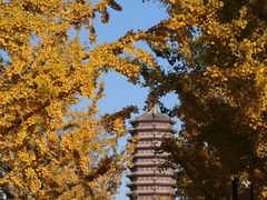 -西海子公园