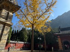 -青龙山生态文化旅游区(慈云寺)