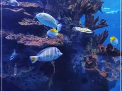 -多彩贵州城极地海洋世界