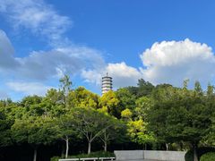 -深圳国际园林花卉博览园