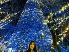 -台场海滨公园船码头