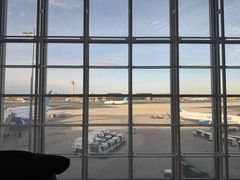 -纽瓦克自由国际机场