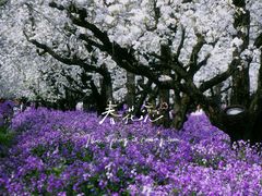 -江苏三台山国家森林公园