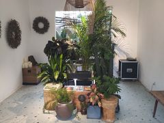 -云里小坐·小院里·团建·宴请·下午茶(三圣乡店)