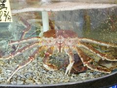 -顺德了能馆(虎门店)