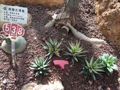 -南通洲际绿博园