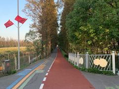 -上海长兴岛郊野公园