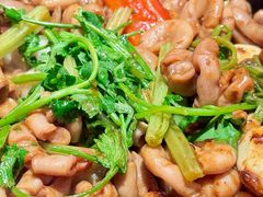 -煲煲好(朝阳门店)
