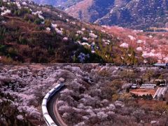 -居庸关长城