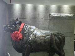 -秦宝雪花牛肉养生火锅(大兴九臻店)