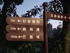 -重庆彩云湖湿地公园