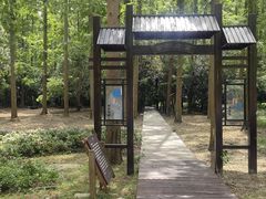 -东平国家森林公园