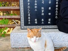 -少华山国家森林公园