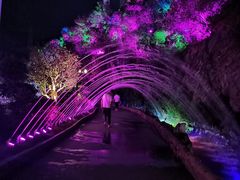 -黄腾峡天门悬廊