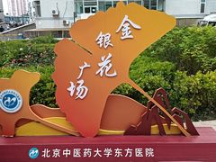 -北京中医药大学东方医院(方庄院区)