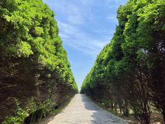 -秦始皇帝陵博物院(兵马俑)