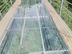 -磐安舞龙峡景区