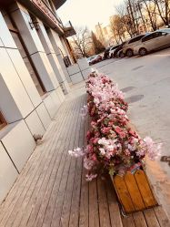 -T.1 hair salon烫染接发