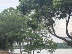 -艾溪湖湿地公园