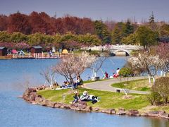 -上海海湾国家森林公园