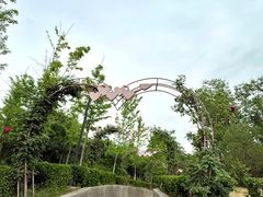 -洛阳宴·洛阳菜(南昌路店)