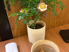-CURRY YA 熟成咖哩專門店(深圳湾万象城店)