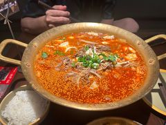 -张翻越·川渝冒菜·武汉黑鸭煲(城北万象城店)