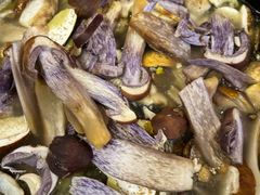 -菌之家·专业纯野生菌火锅·特色炒菌