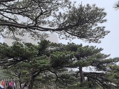 -黄山光明顶山庄