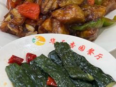 -杏园餐厅(西四北大街店)